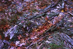 photo 0165